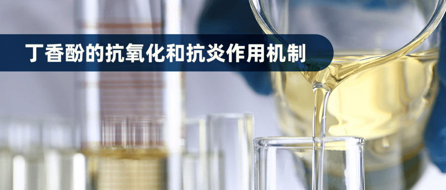 丁香酚的抗氧化和抗炎作用机制