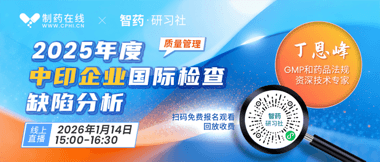 2025年度中印企业国际检查缺陷分析