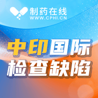 2025年度中印企业国际检查缺陷分析