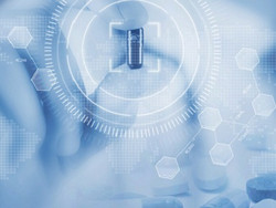 噬菌体协同抗生素联合治疗细菌性感染的作用机制