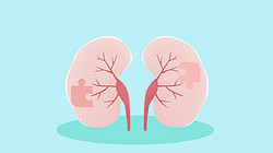 七年筑基，礼邦医药如何成长为肾病专科独角兽