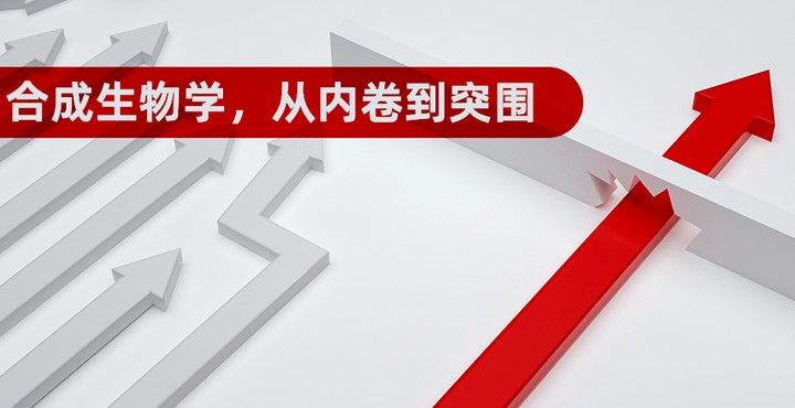 合成生物学，从内卷到突围