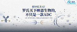 超10亿美元！罗氏买下映恩生物的，不只是一款ADC