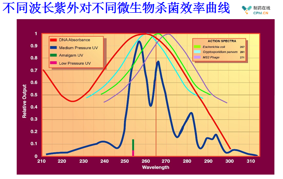 圖（6） 不同波長紫外線對(duì)不同微生物殺菌效率曲線