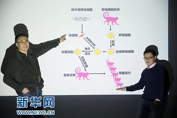 该研究的通讯作者孙强博士（左）与第一作者刘真博士（右）