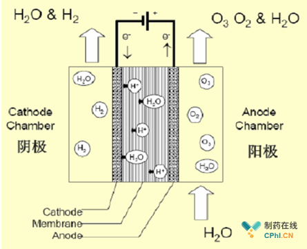 图2 水电解臭氧发生器工作机理