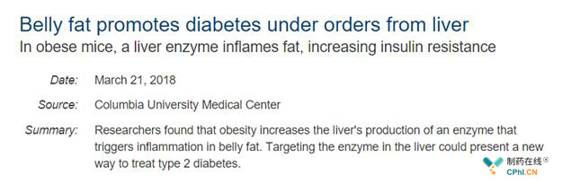 肥胖会增加2型糖尿病的发生几率