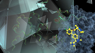 新型分子IMP-1088（图中黄色部分）阻断了人N-肉豆蔻酰基转移酶（NMT）