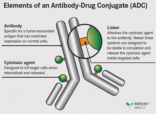Elements of an Antibody-Drug Conjugate 