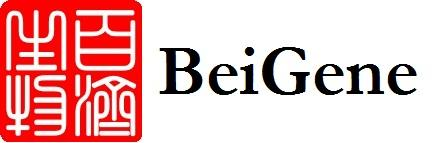 BeiGene Announces Acceptance of its First NDA for Zanubrutinib