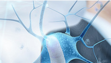 Antioxidant reduces risk for second heart attack, stroke