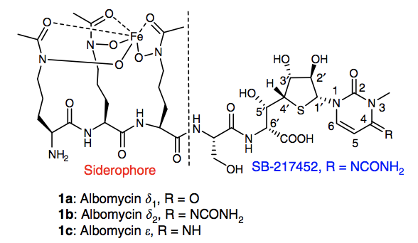 阿波霉素（Albomycins）的化学结构