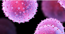 New compounds may prevent spread of malaria