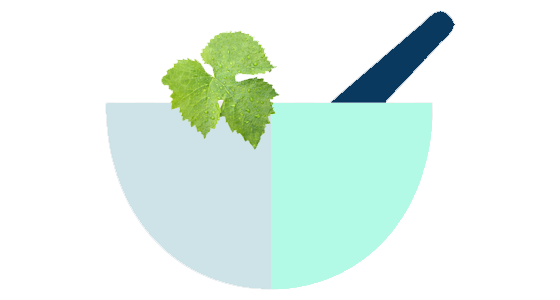 Thunder God Vine: Poison or Miracle Anti-obesity Drug?