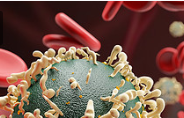 In clinical trials, new antibody therapy controls HIV for months after treatment