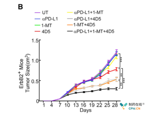 Her2人源化小鼠中联合使用Her2抗体（4D5）、PD-L1抗体和IDO抑制剂