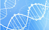 Largest census of cancer genes to help understand drug targets