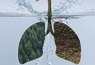 Widespread side effects from drugs on lungs