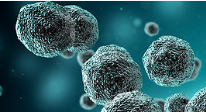 ECDC report shows drug-resistant superbugs lead to 33,000 deaths