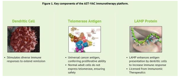 Asterias的AST-VAC免疫疗法平台的3个重要组成部分：树突状细胞，人体端粒酶抗原，以及溶酶体靶向信号LAMP蛋白片段