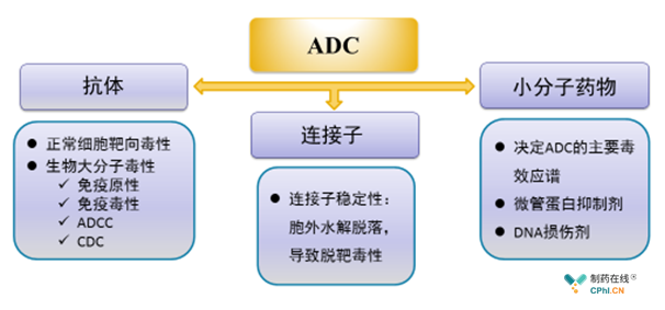 ADC药物安全性因素