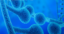 Japan conducts world’s first iPS cell transplant for Parkinson’s