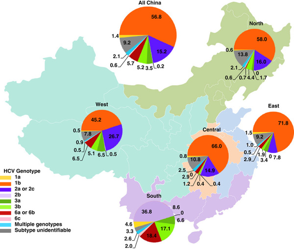 Included in China’s National Essential Drugs List, Can Epclusa Get a Second Wind in China? (2)