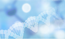 Drug delivery using miRNA-enriched extracellular vesicles