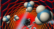 Using graphene as a tunable ion filter