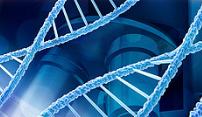 Canada clinical trial on personalised medicine for prostate cancer