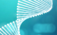 New brain circuits formed for motor function after Parkinson’s therapy