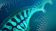 Lanadelumab effective in reducing hereditary angioedema attacks