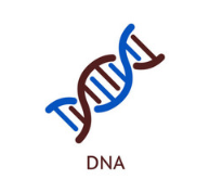 DNA Origami full of potent anticancer agents
