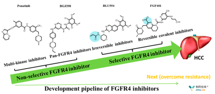 FGFR-4抑制剂研发管线