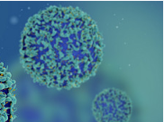 When good macrophages go bad