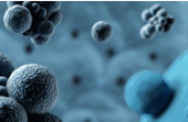 CAR-T cell update: Therapy improves outcomes for patients with B-cell lymphoma