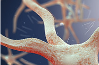 Schrödinger and SPARC announce collaboration to accelerate neurodegeneration drug development program