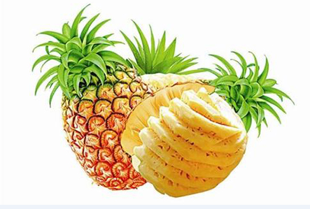 菠萝蛋白酶