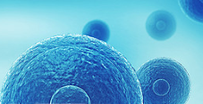 Drug cocktail turns off the juice to cancer cells