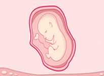 Delivering a baby increases, then lowers, risk of breast cancer: Study
