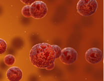 The valsartan carcinogen mess taught pharma a surprise manufacturing lesson. Will 2019 bring more?