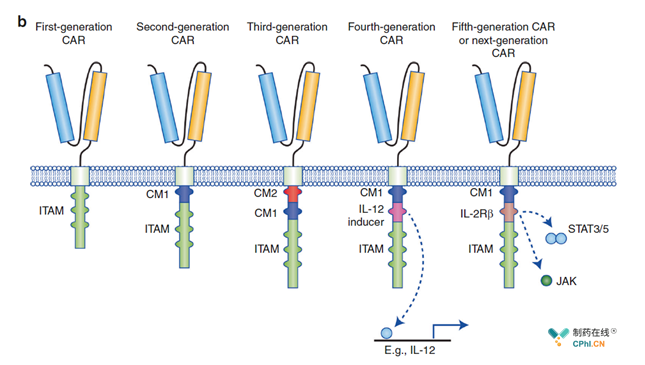 CAR-T细胞结构设计发展历程