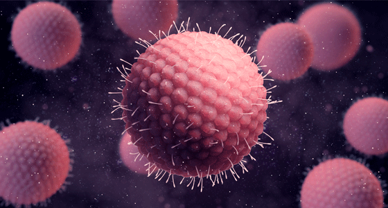 Summary of main targeted drugs for breast cancer in the market