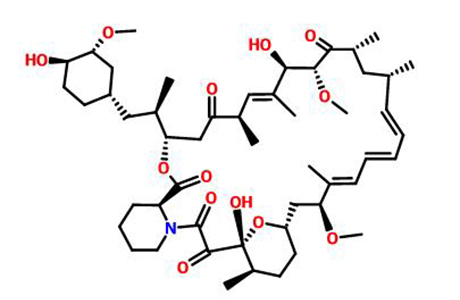 雷帕霉素的作用