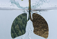 Artificial lung cancer tissue could help find new drug treatments