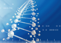 BridgIT, a new tool for orphan and novel enzyme reactions