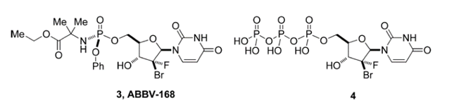 ABBV-168及三磷酸衍生物4结构式