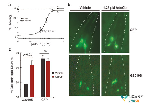 AdoCbl在线虫中拯救突变的人类LRRK2诱导的行为缺陷和多巴胺能神经变性