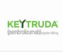 KEYTRUDA Meets Primary Trial Endpoint as Monotherapy and in Combination with Chemotherapy 