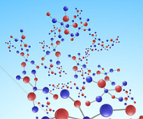 Primaquine-methylene blue combination blocks malaria transmission